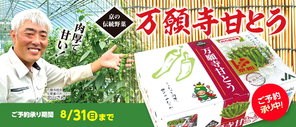 万願寺甘とう