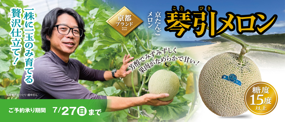 琴引メロン