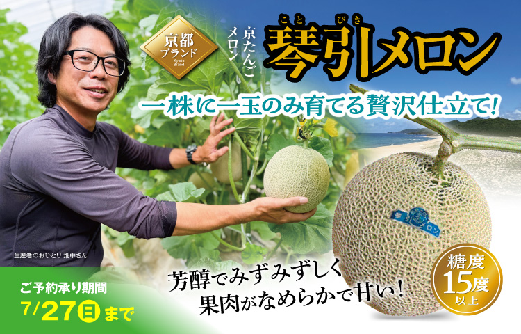 琴引メロン